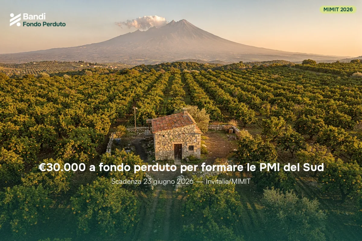 Imprenditore di una PMI del Mezzogiorno valuta i documenti del bando formazione MIMIT 2026 nel proprio ufficio